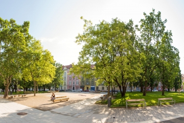 Návrh městského parku
